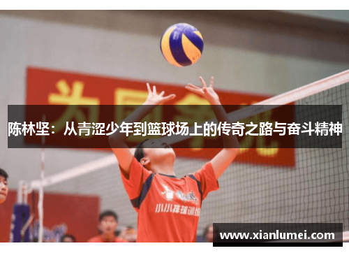 陈林坚：从青涩少年到篮球场上的传奇之路与奋斗精神