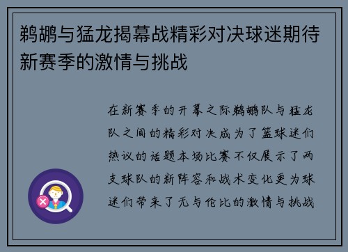 鹈鹕与猛龙揭幕战精彩对决球迷期待新赛季的激情与挑战